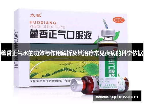 藿香正气水的功效与作用解析及其治疗常见疾病的科学依据
